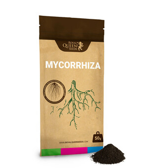 Easy Roots - Mix de Micorrizas
