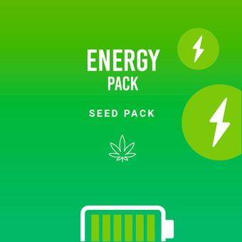 O Pack Energy