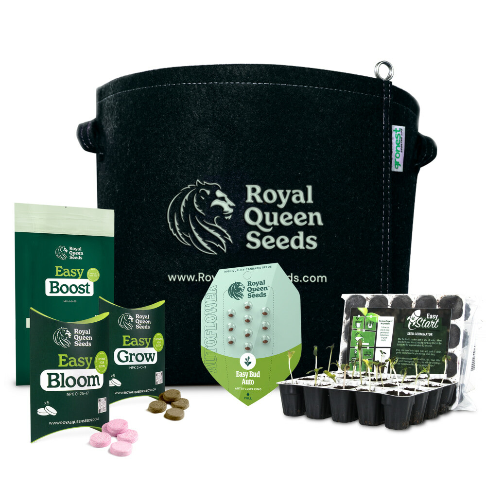 kingrecipe Kit de cultivo de canábis para iniciantes - Royal Queen Seeds