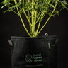 Etiquetas Eco para plantas 5 unid