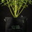Etiquetas Eco para plantas 5 unid