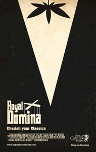 Poster Royal Domina 