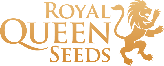 Royal Queen Seeds Spain