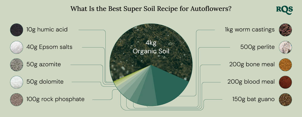 Autoflowering cannabis recipe Autoflowering cannabis recipe