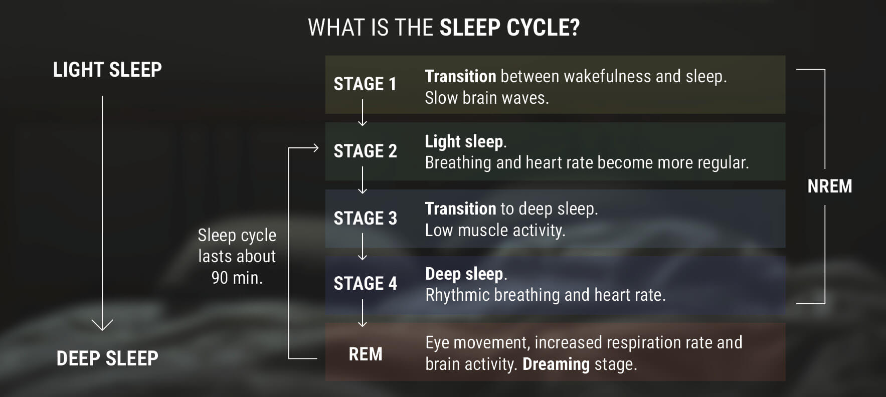 O que é o Ciclo de Sono?