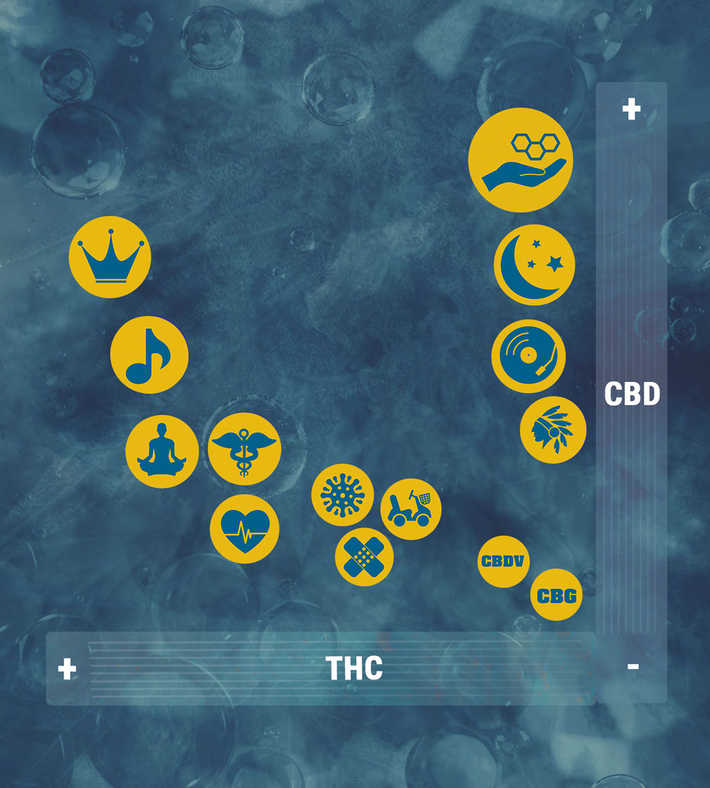 CBD THC Strains