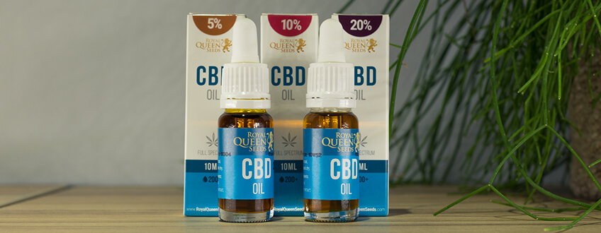CBD Oil by Royal Queen Seeds CBD Oil by Royal Queen Seeds