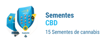 sementes cannabis cbd