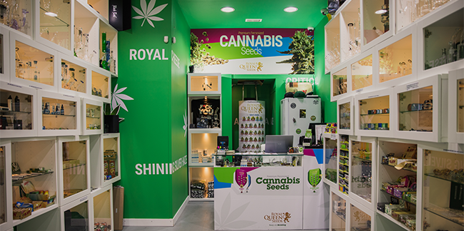 Barcelona Cannabis Seeds Shop Cannabis Seeds Shop