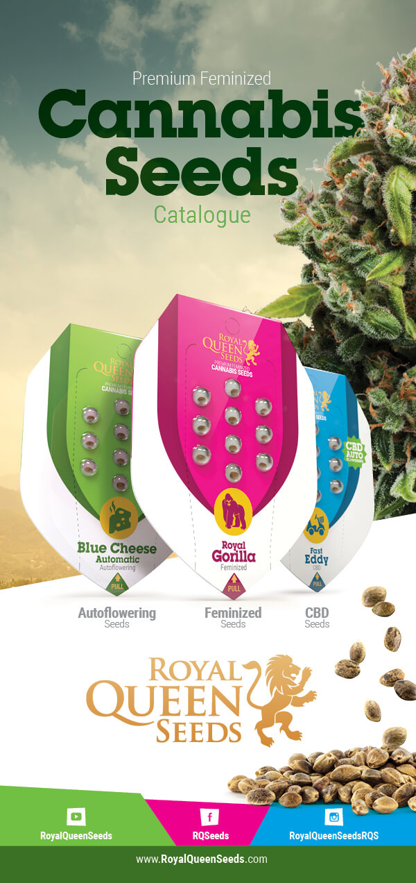 Cannabis Seed Catalogue