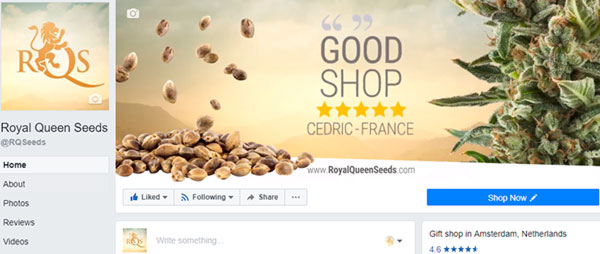 RQS Facebook Facebook