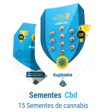 sementes cannabis cbd