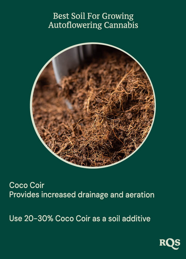 Coco coir for growing autoflowers Coco coir for growing autoflowers