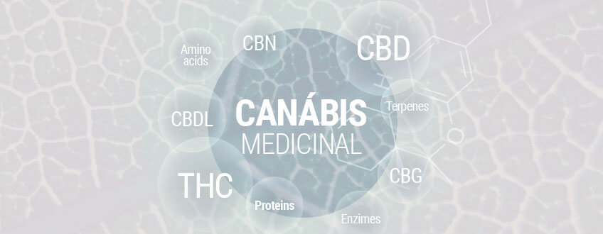 Canábis Medicinal 101: O Guia Completo Da Marijuana Medicinal