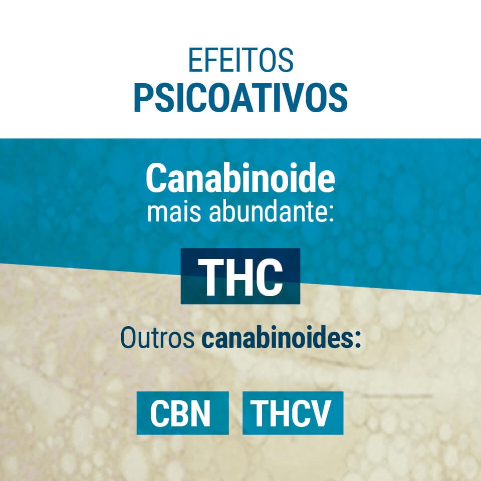 Efeitos Psicoativos THC