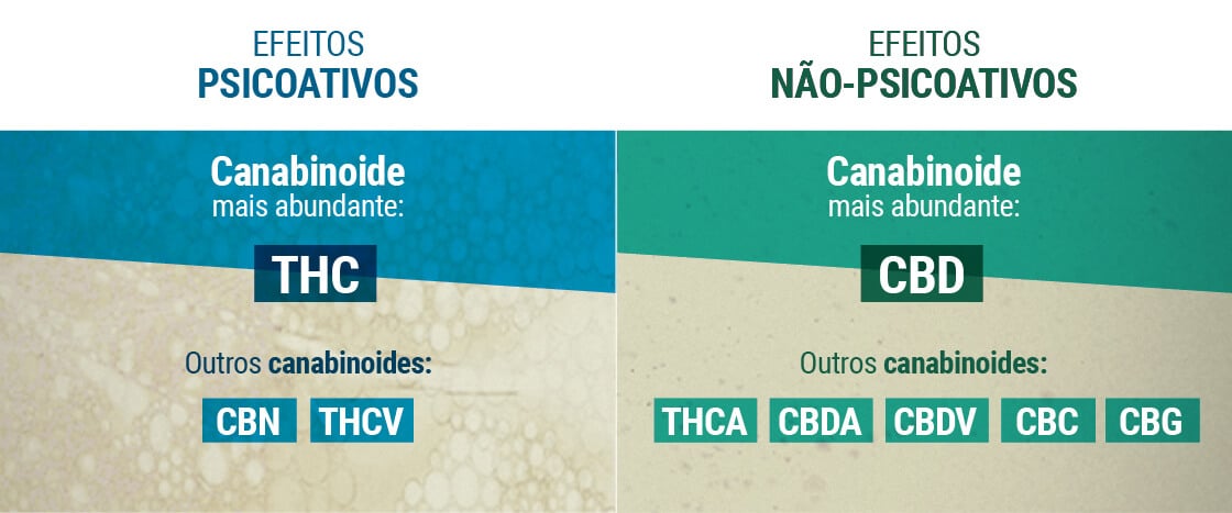 Efeitos Psicoativos y Efeitos Não-psicoativos Canabinoides