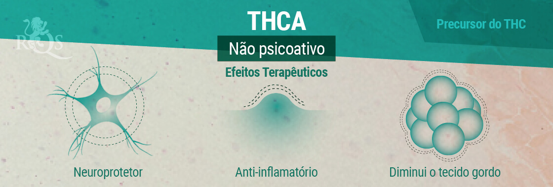 Efeitos Terapêuticos THCA