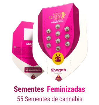 sementes-cannabis-feminizadas