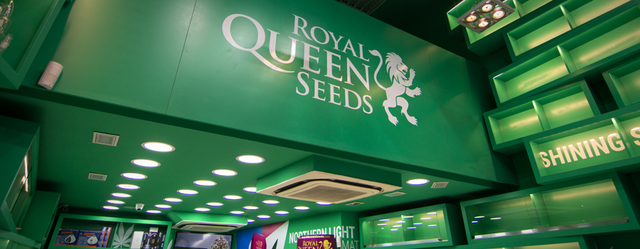 Royal Queen Seeds shop Barcelona Pelai