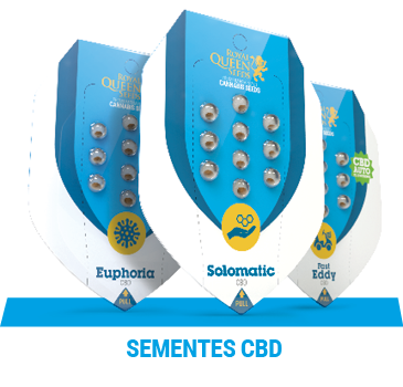sementes-cannabis-cbd