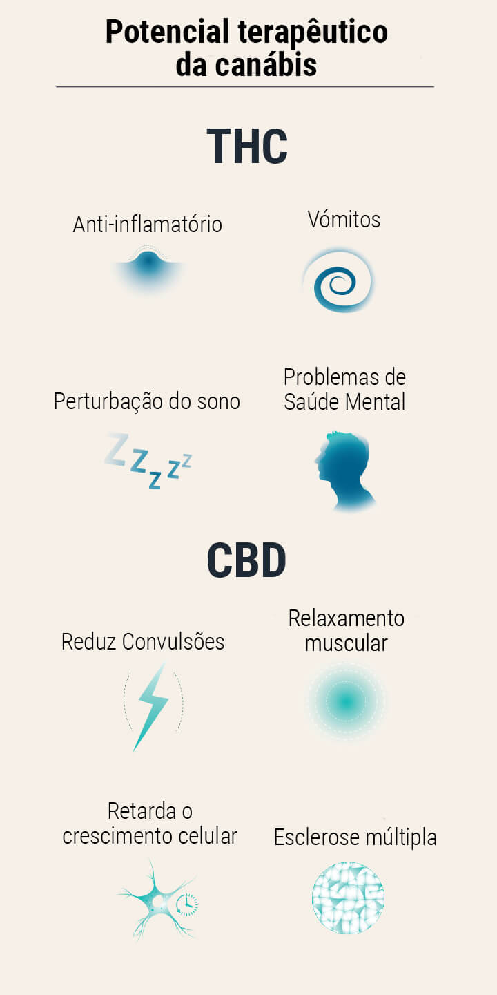 Sementes de Cannabis Medicinal Sementes de Cannabis Medicinal