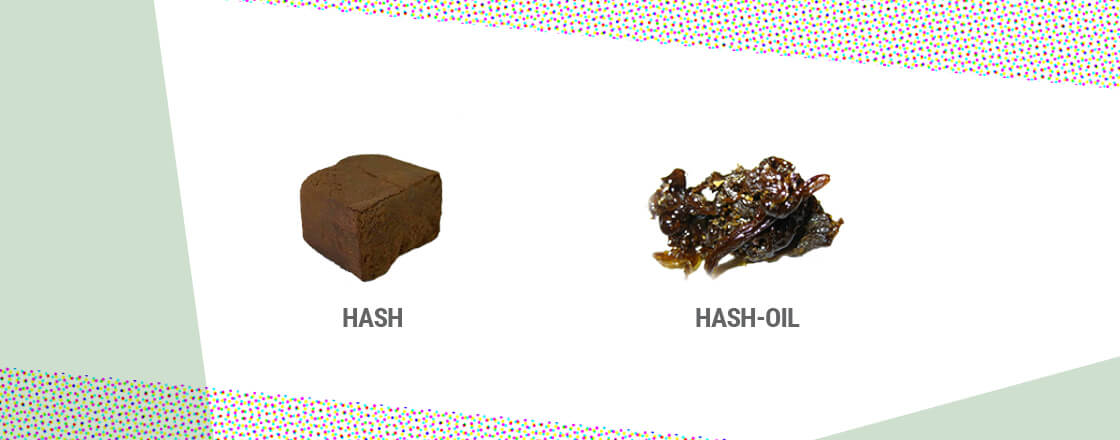 Haxixe y hash oil