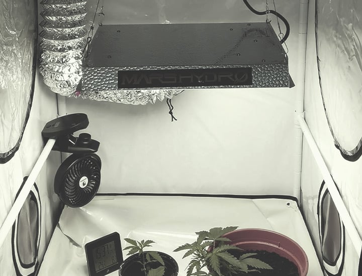 Escolher o melhor local para cultivar canábis dentro de portas Escolher o melhor local para cultivar canábis dentro de portas
