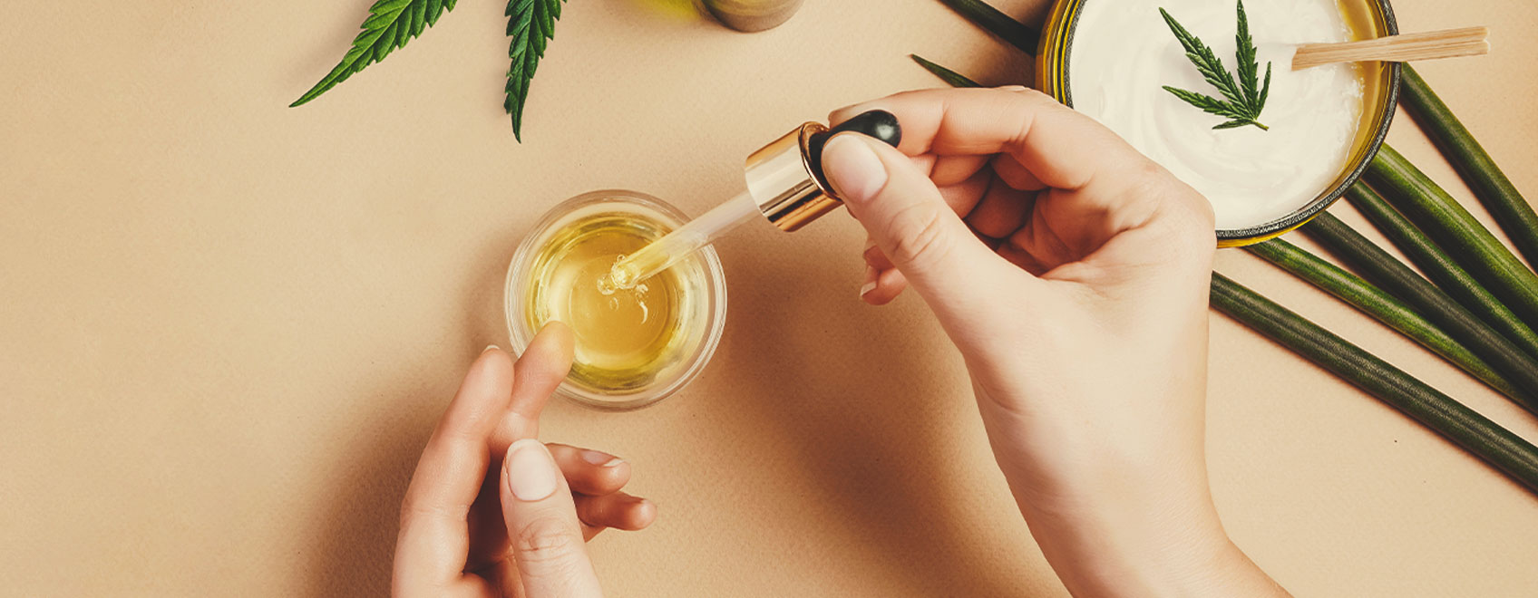 Como Fazer Óleo das Sementes de Canábis Medicinal Como Fazer Óleo das Sementes de Canábis Medicinal
