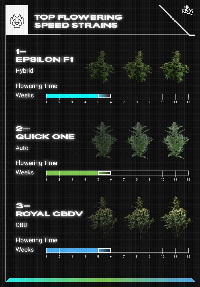 Top RQS Fast-Flowering Strains