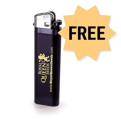 Free RQS Lighter