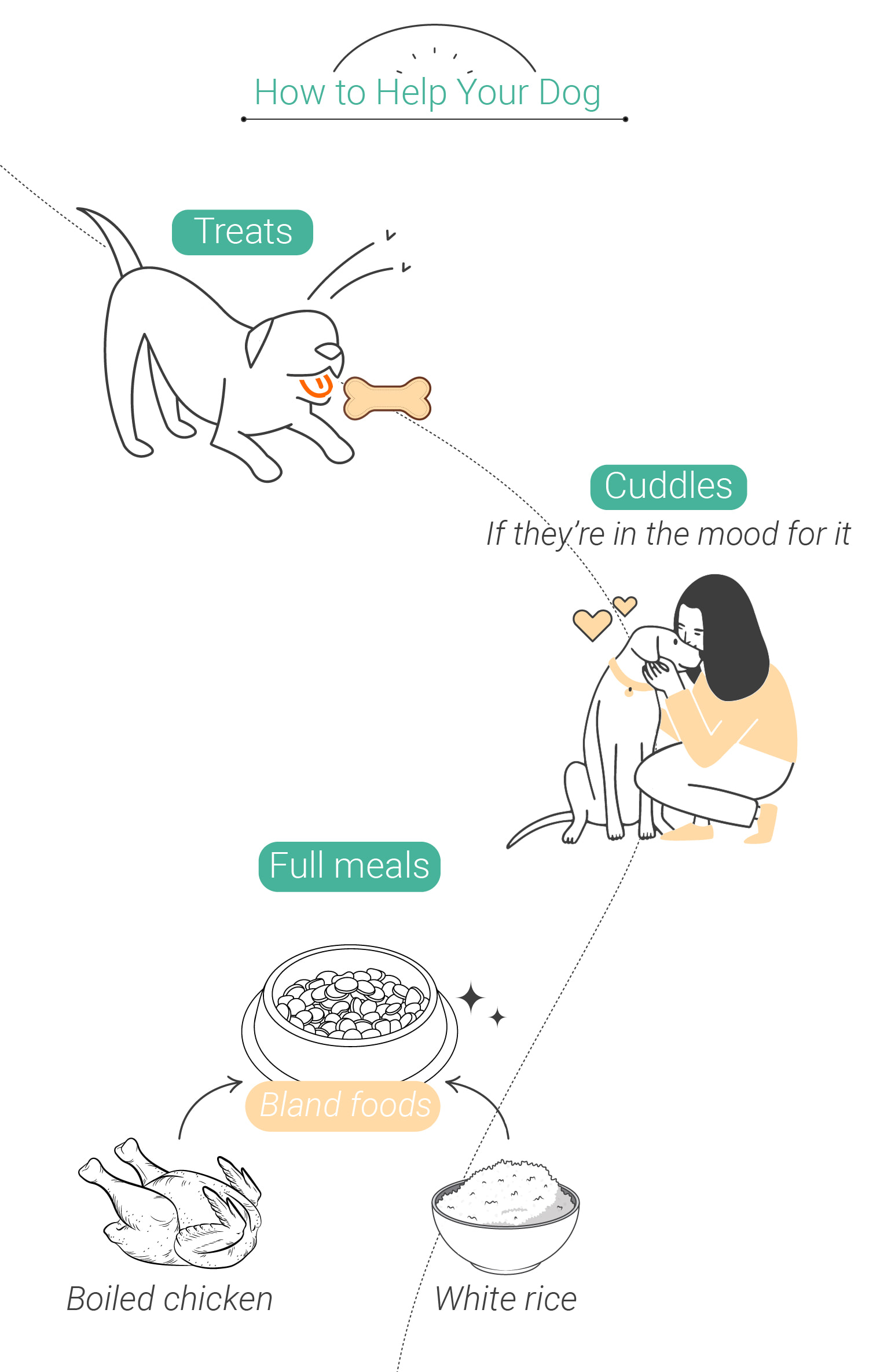 Animais de Estimação e a Toxicidade da Canábis: O que Fazer se o Seu Cão Ficar Mocado Animais de Estimação e a Toxicidade da Canábis: O que Fazer se o Seu Cão Ficar Mocado