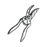 Pruning Scissors Pruning Scissors