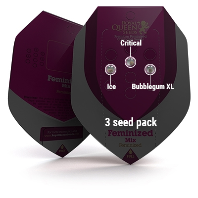 3 Seed RQS Feminized Mix