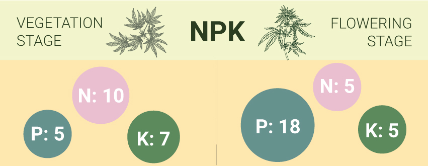 Compreender o solo e a nutrição da canábis Compreender o solo e a nutrição da canábis