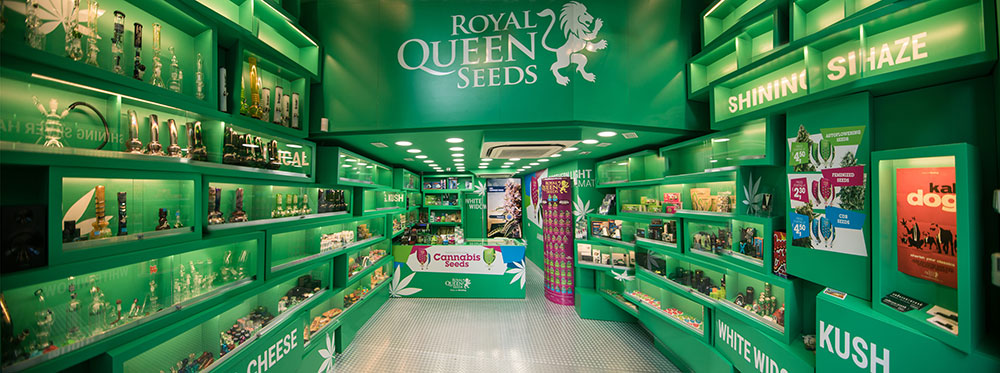 Visite a Loja da Royal Queen Seeds em Barcelona