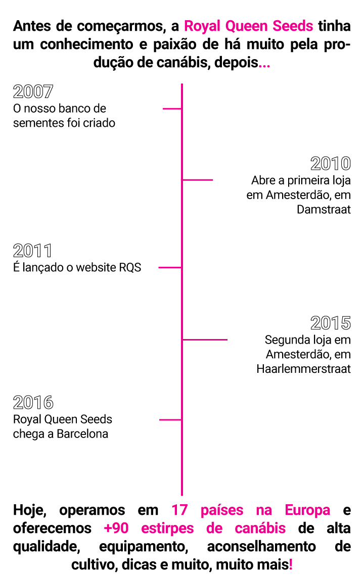 RQS Storyline RQS Storyline