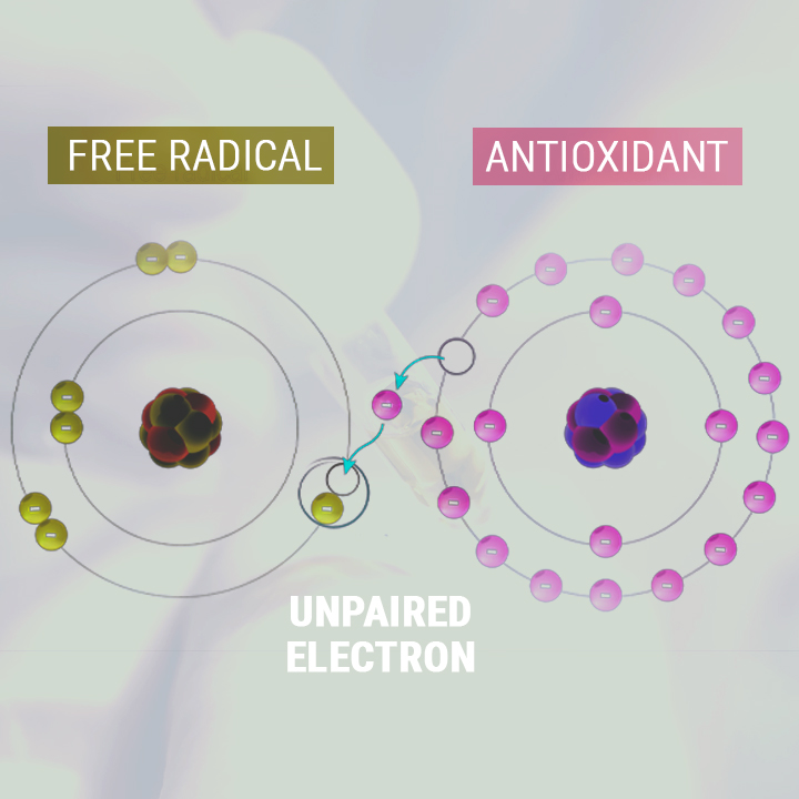 ÓLEO CBD (CBD OIL) COMO UM ANTIOXIDANTE ÓLEO CBD (CBD OIL) COMO UM ANTIOXIDANTE