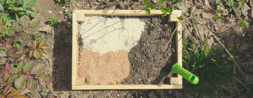 Mais Dicas para um Cultivo Bem Sucedido de Canábis Orgânica ao Ar Livre