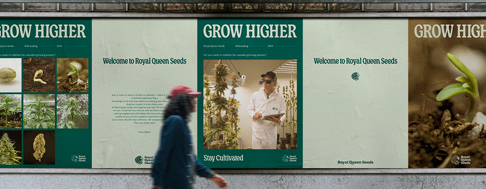 Royal Queen Seeds Rebranding