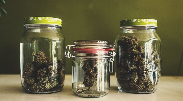 BENEFÍCIOS DE UTILIZAR O CBD E O THC AO MESMO TEMPO BENEFÍCIOS DE UTILIZAR O CBD E O THC AO MESMO TEMPO