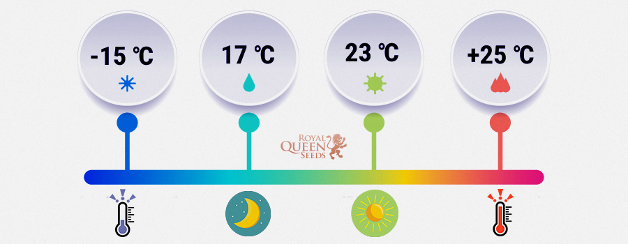 A TEMPERATURA É CRUCIAL PARA A GERMINAÇÃO A TEMPERATURA É CRUCIAL PARA A GERMINAÇÃO