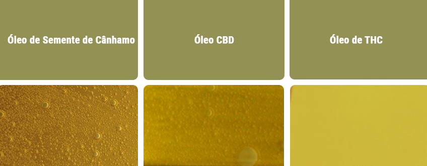 Óleo CBD vs Outros Tipos de Óleos