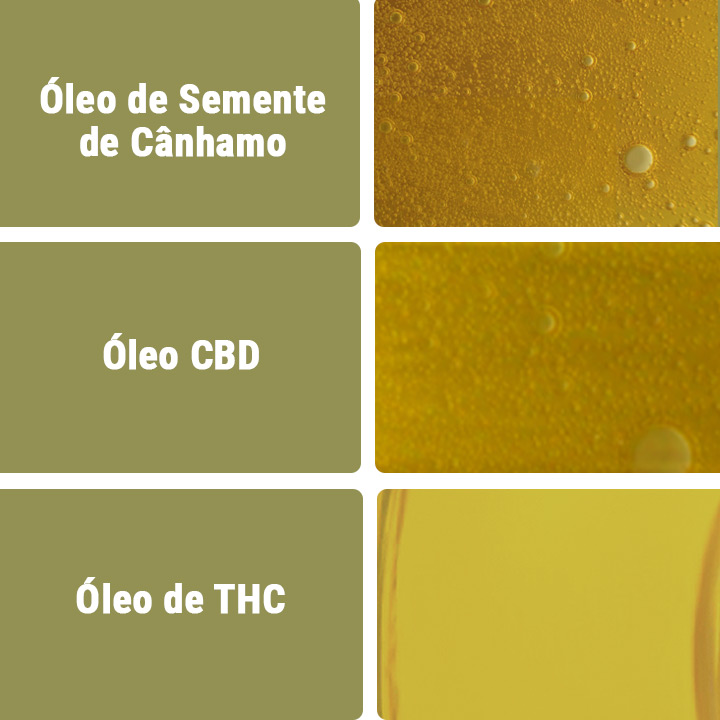 Óleo CBD vs Outros Tipos de Óleos