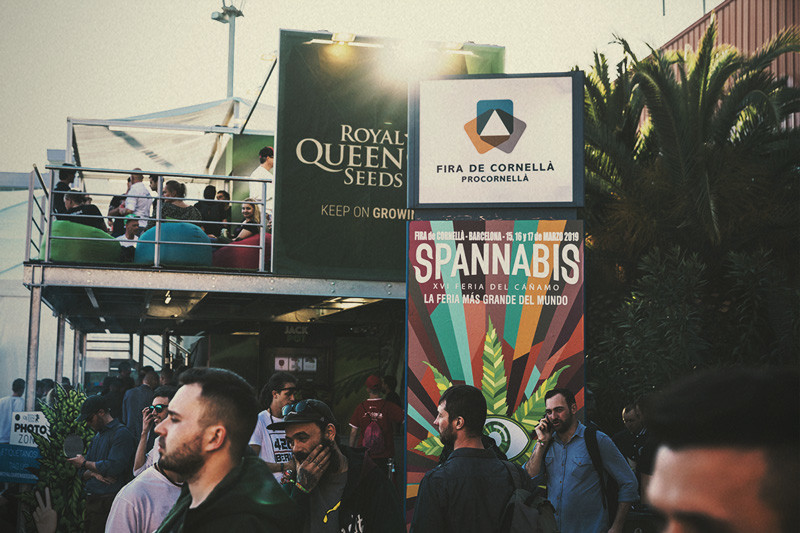 Spannabis 2019: a Royal Queen Seeds ganha o prémio de Melhor Banco de Sementes!