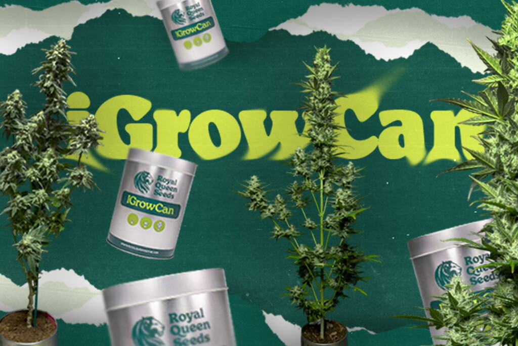 Descubra o iGrowCan: a forma mais fácil de iniciar o seu primeiro cultivo de canábis