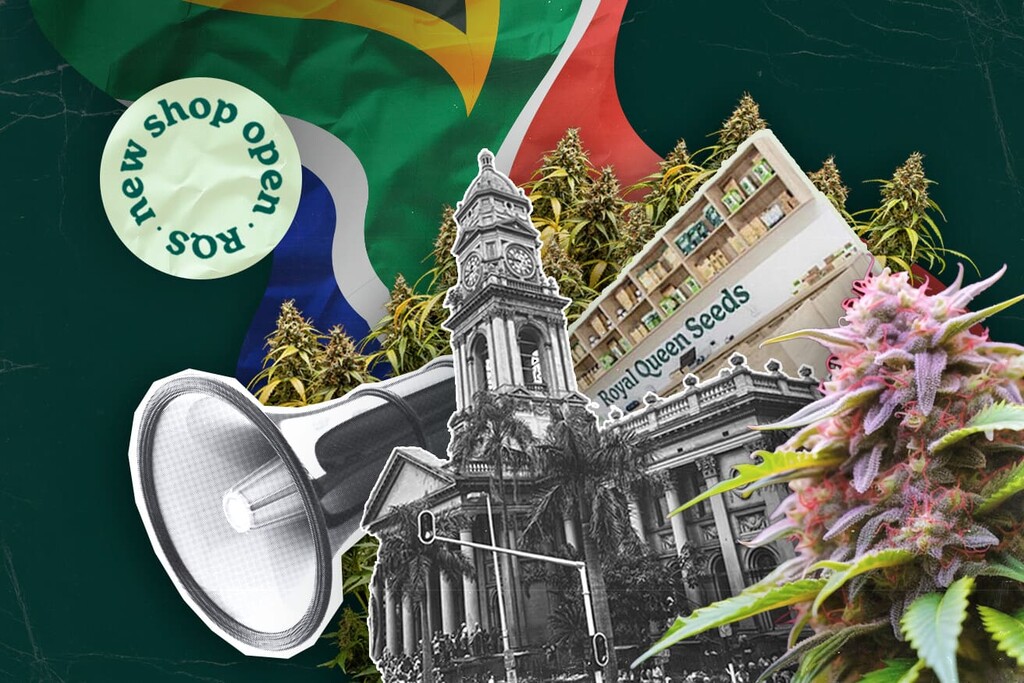 A Royal Queen Seeds abre a primeira loja em Durban, levando sementes de canábis superiores à África do Sul