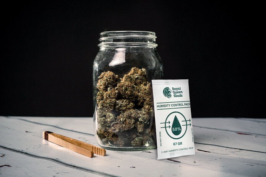 Como evitar a erva bolorenta durante a secagem e a cura