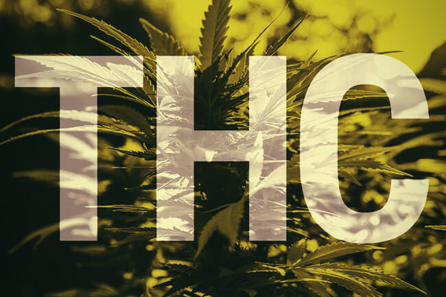 O que é o THC?