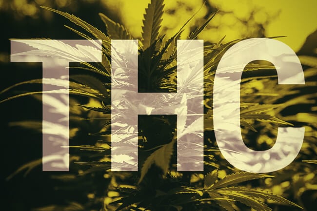 O que é o THC?