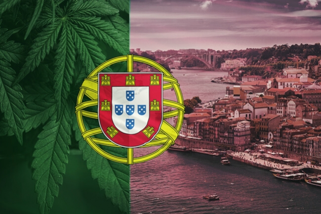 Portugal dá um Passo de Gigante para a Legalização da Canábis Medicinal